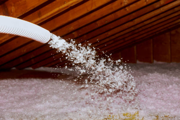 Best DIY Insulation Kits and Guidance in Dolan Springs, AZ