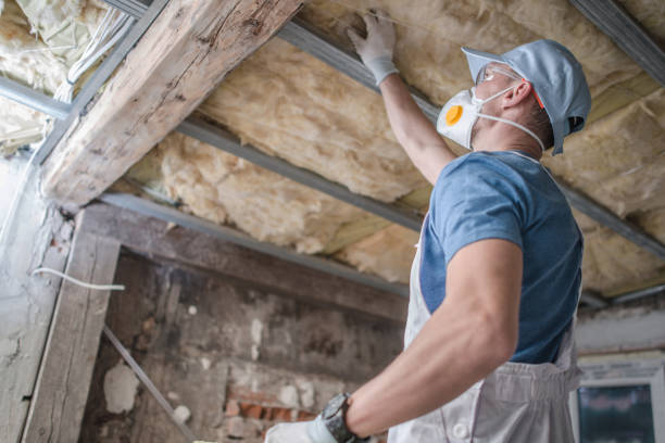 Best Fiberglass Insulation in Dolan Springs, AZ