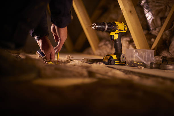 Best Specialized Insulation Services in Dolan Springs, AZ
