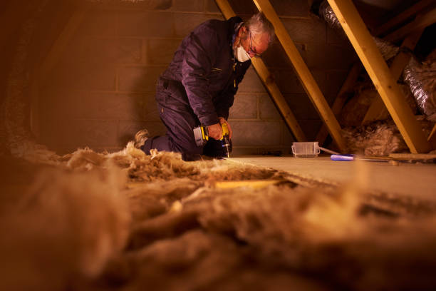 Types of Insulation We Offer in Dolan Springs, AZ